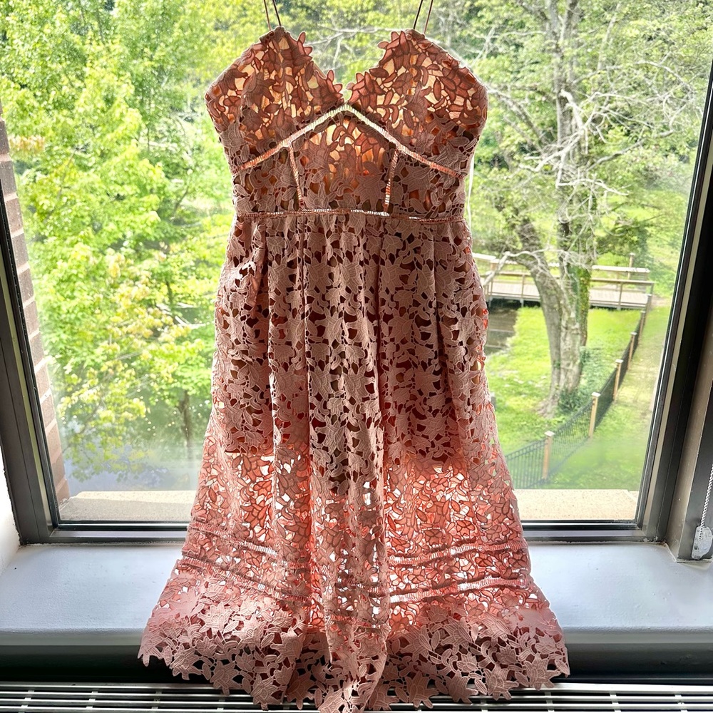 NWT Self Portrait Azalea dress size 10 (soft pink). Gorgeous and timeless!